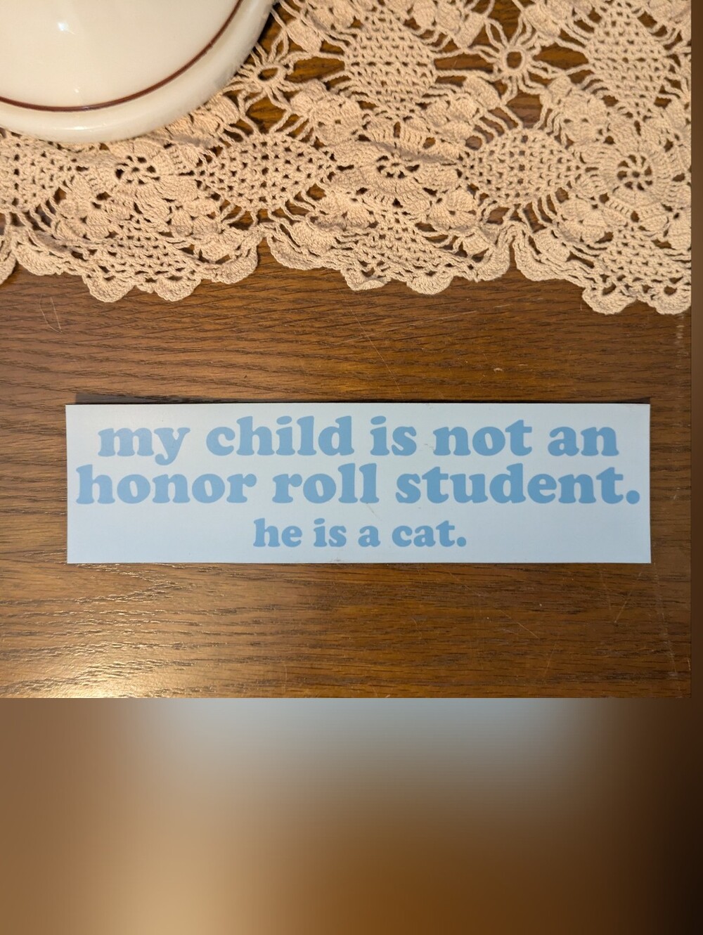 Funny Cat Magnet